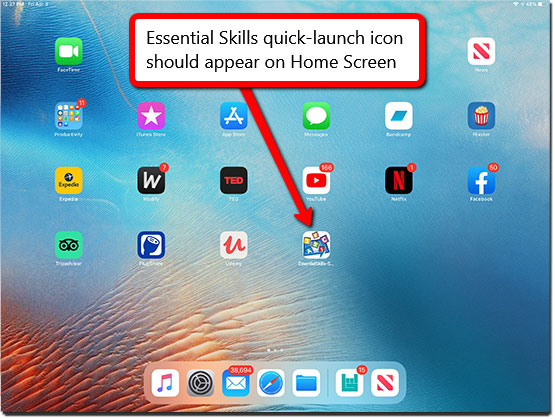 Essential Skills Quick Launch Icon